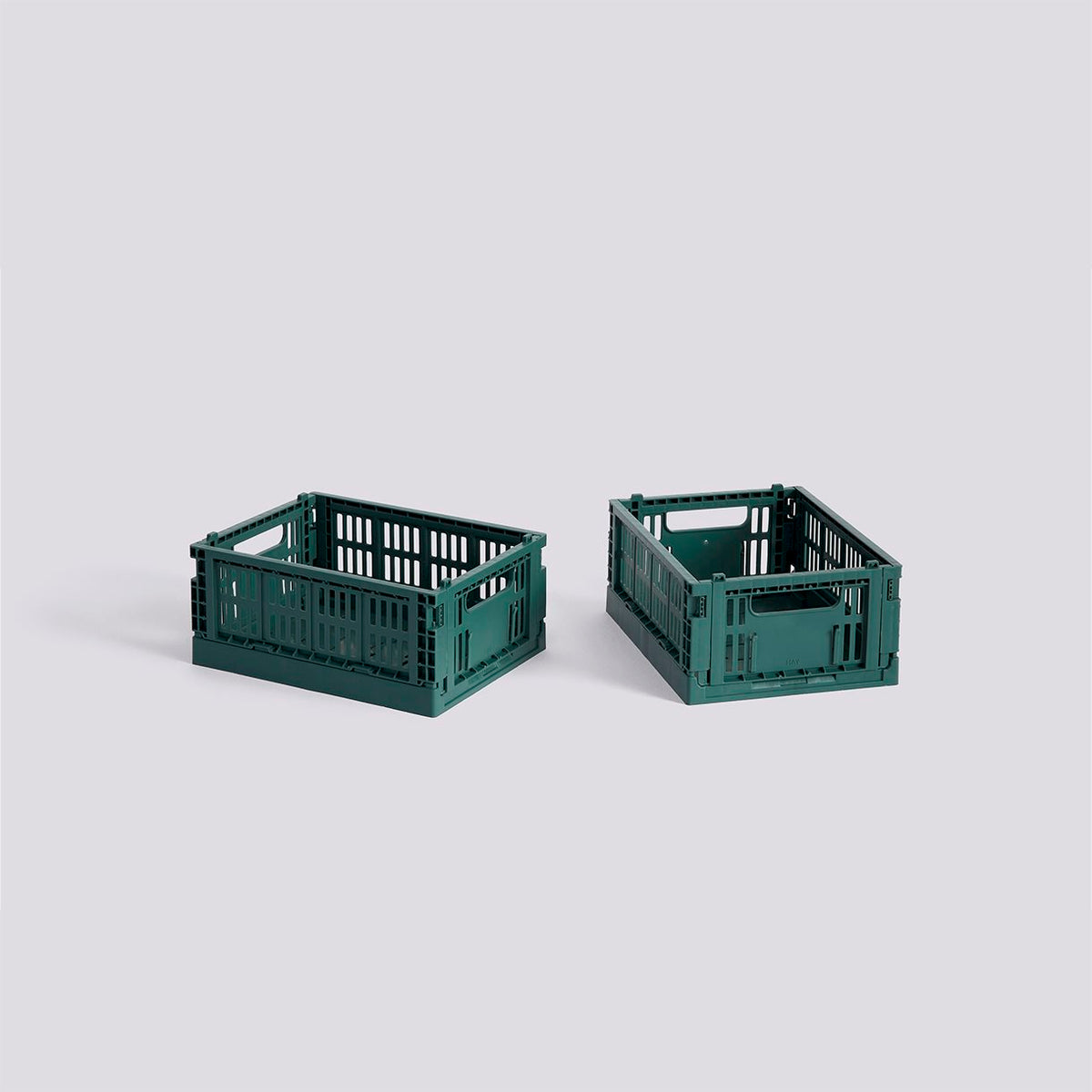 #color_DARK GREEN