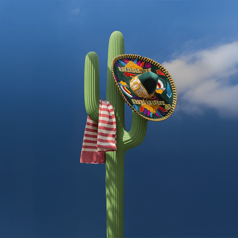Appendiabiti Saguaro